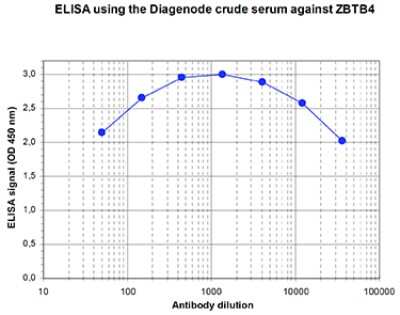 ELISA: ZBTB4 Antibody [NBP3-18655]